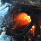 Illustration for article titled How To Start A Fire